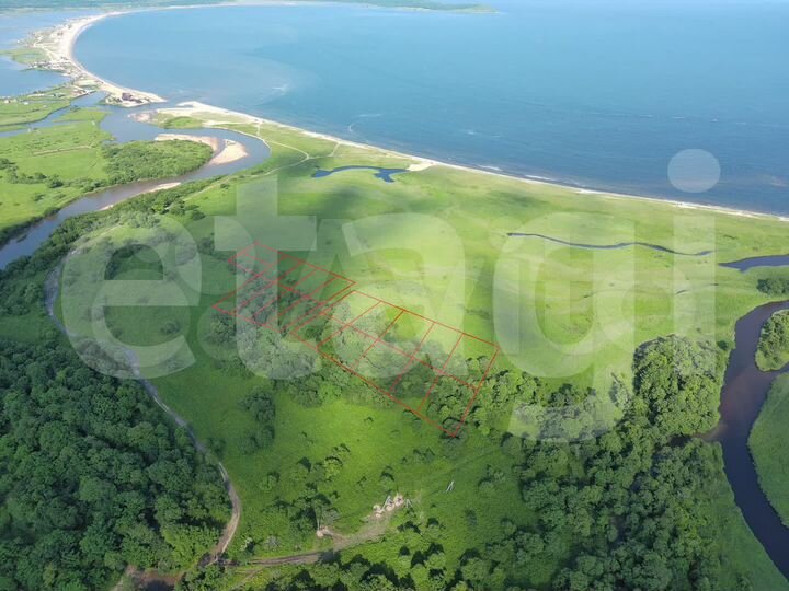 Участок 9,9 сот. (СНТ, ДНП)