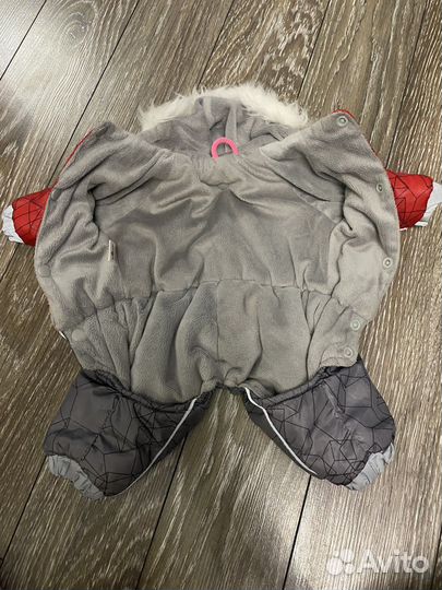 На мини собачку