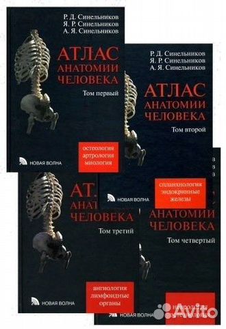 Атлас анатомии человека 1, 2, 3, 4 тома Синельников Цветная... купить в ...