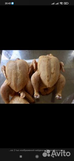 Домашнее мясо