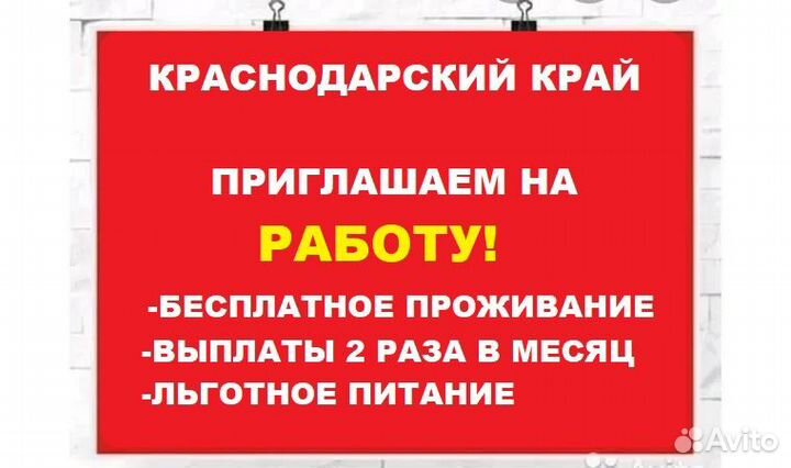 Вахта молокозавод в ст Выселки. уборщица