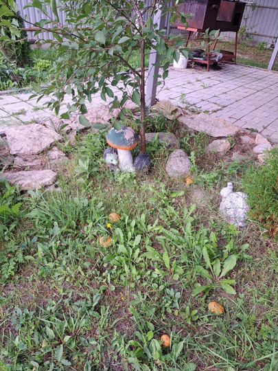 Дом 80 м² на участке 15 сот.