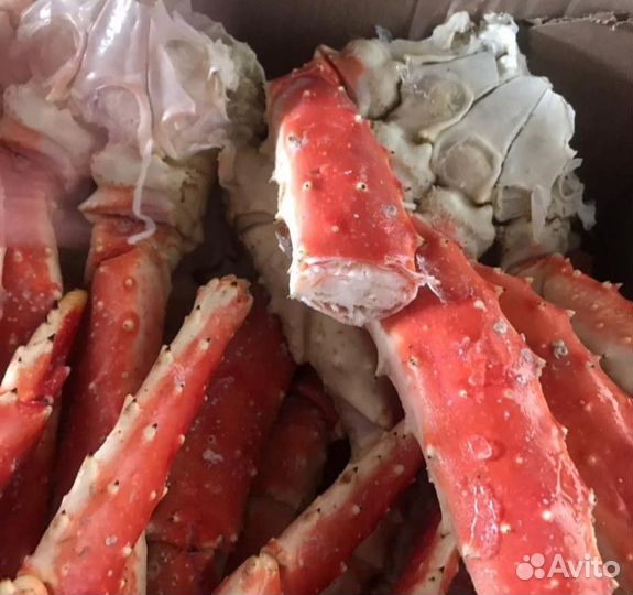 Краб Камчатский конечности
