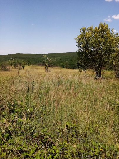 Участок 3,13 га (СНТ, ДНП)