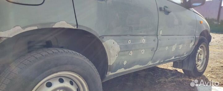 Пескоструй рыжиков жучков на авто авто