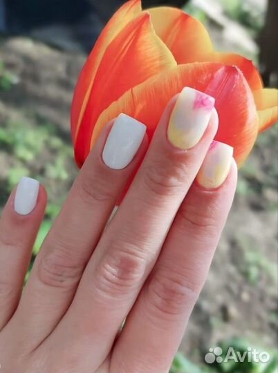 Маникюр/Педикюр м Девяткино