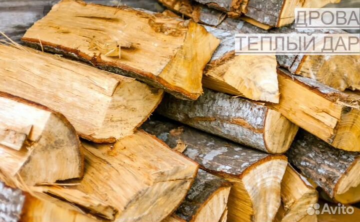 Дрова сухие