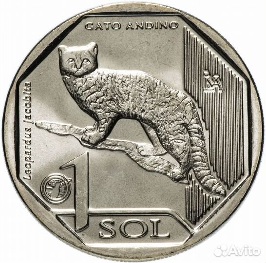 Монеты Перу Красная книга, животные, Андская кошка