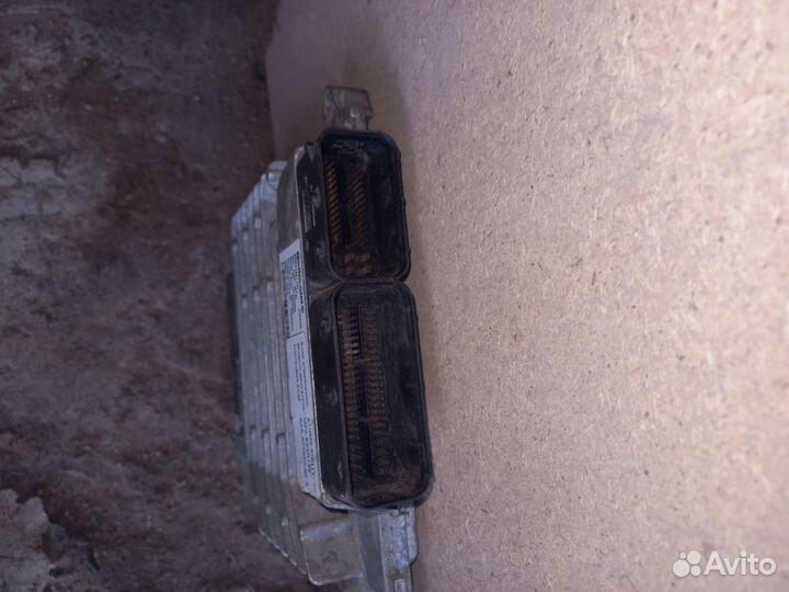 Мозги на Газель