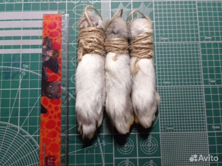 Кроличья/ зайча лапка