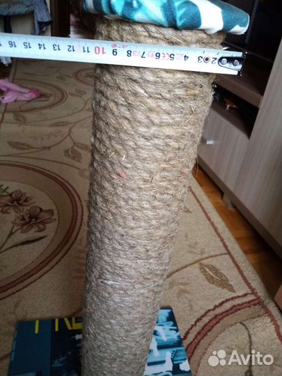 Когтеточка