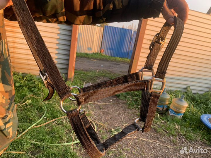 Недоуздки x full