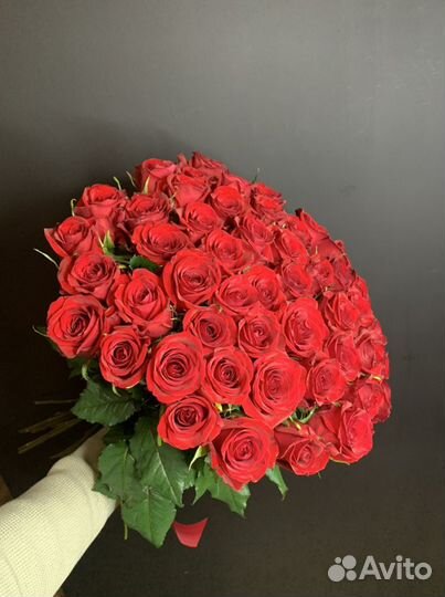 Розы букет 51 роза