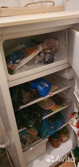 Холеденик бу refrigerator