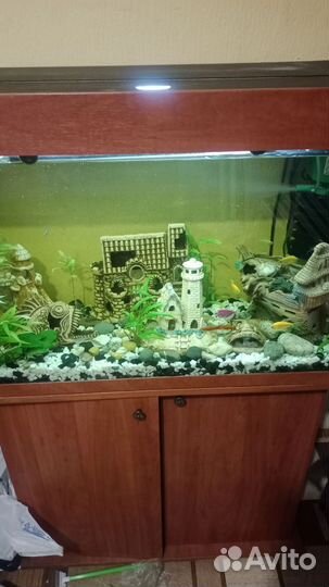 Аквариум с тумбой 150л
