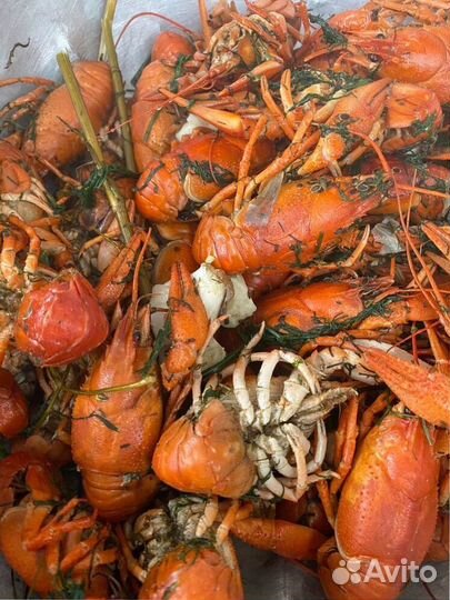 Раки Волжские, доставка