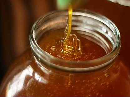 Алтайский мед для Мужского здоровья из эспарцета