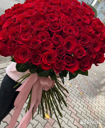Розы 15/25/51/101 шт