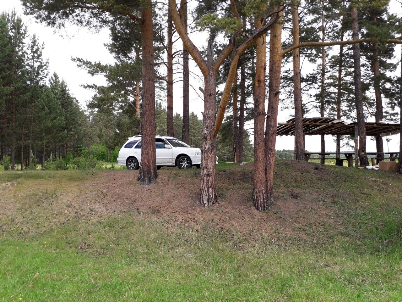 Toyota Sprinter Carib: фото владельца