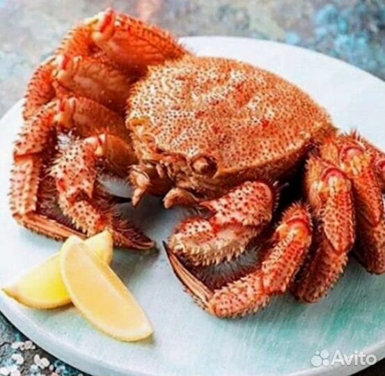 Краб волосатик