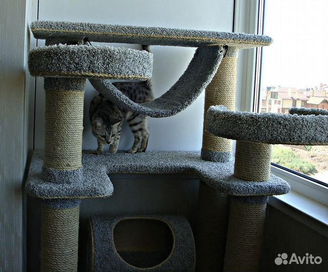 Когтеточка-комплекс 