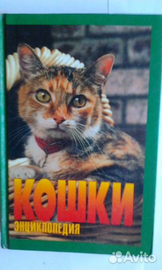 Энциклопедии для детей