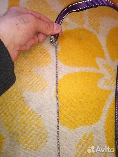 Поводок рулетка Flexi 5 метров