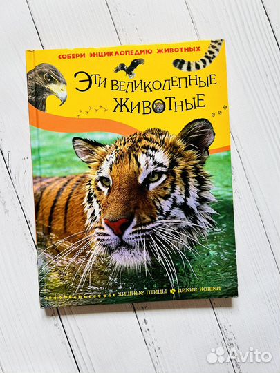 Эти великолепные животные