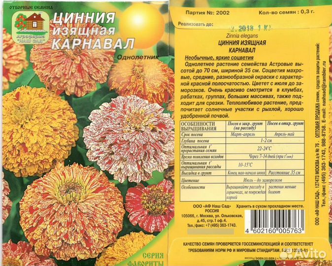 Цинния однолетняя рассада