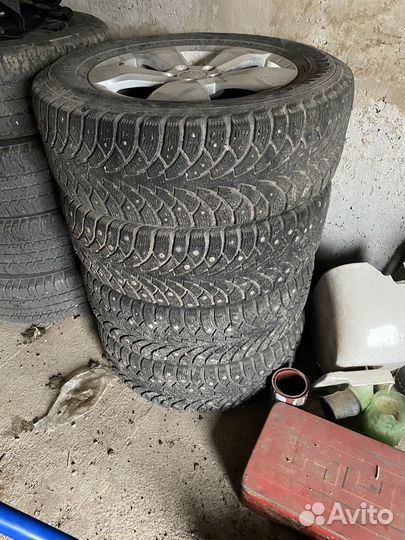 Колева в сборе