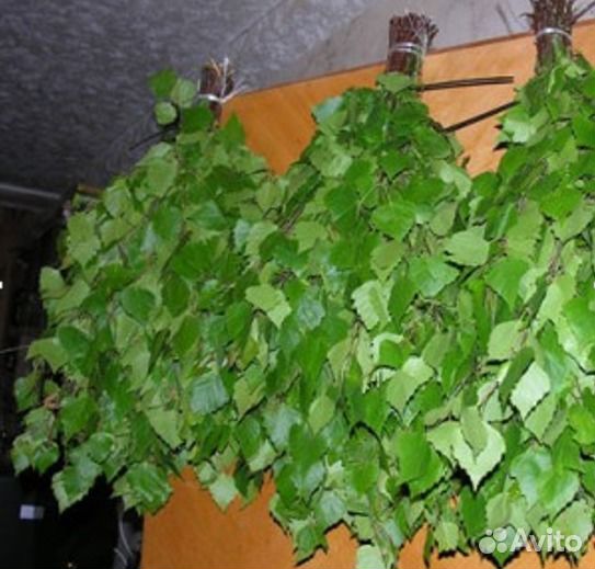 Веники березовые (банные)