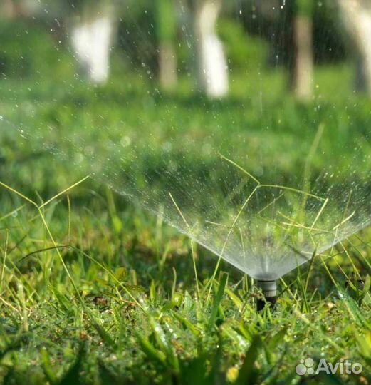 Рулонный газон, посевной газон