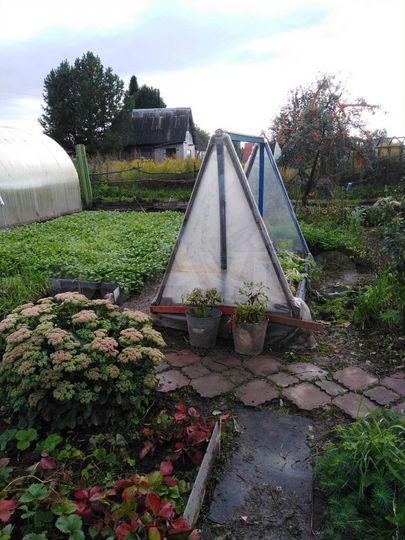 Дача 23 м² на участке 10 сот.