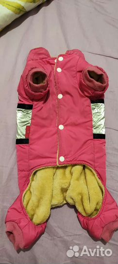 Комбинезон для щенка