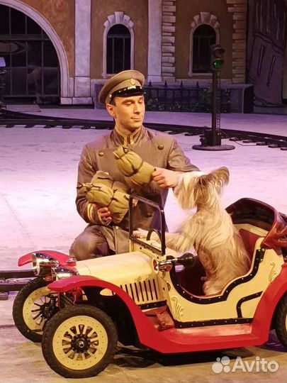 Цирк Уголок Дурова