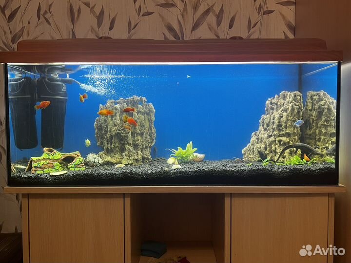 Аквариум 160л с тумбой и оборудованием