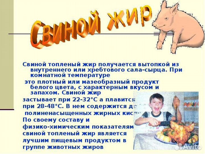Топленый свиной жир