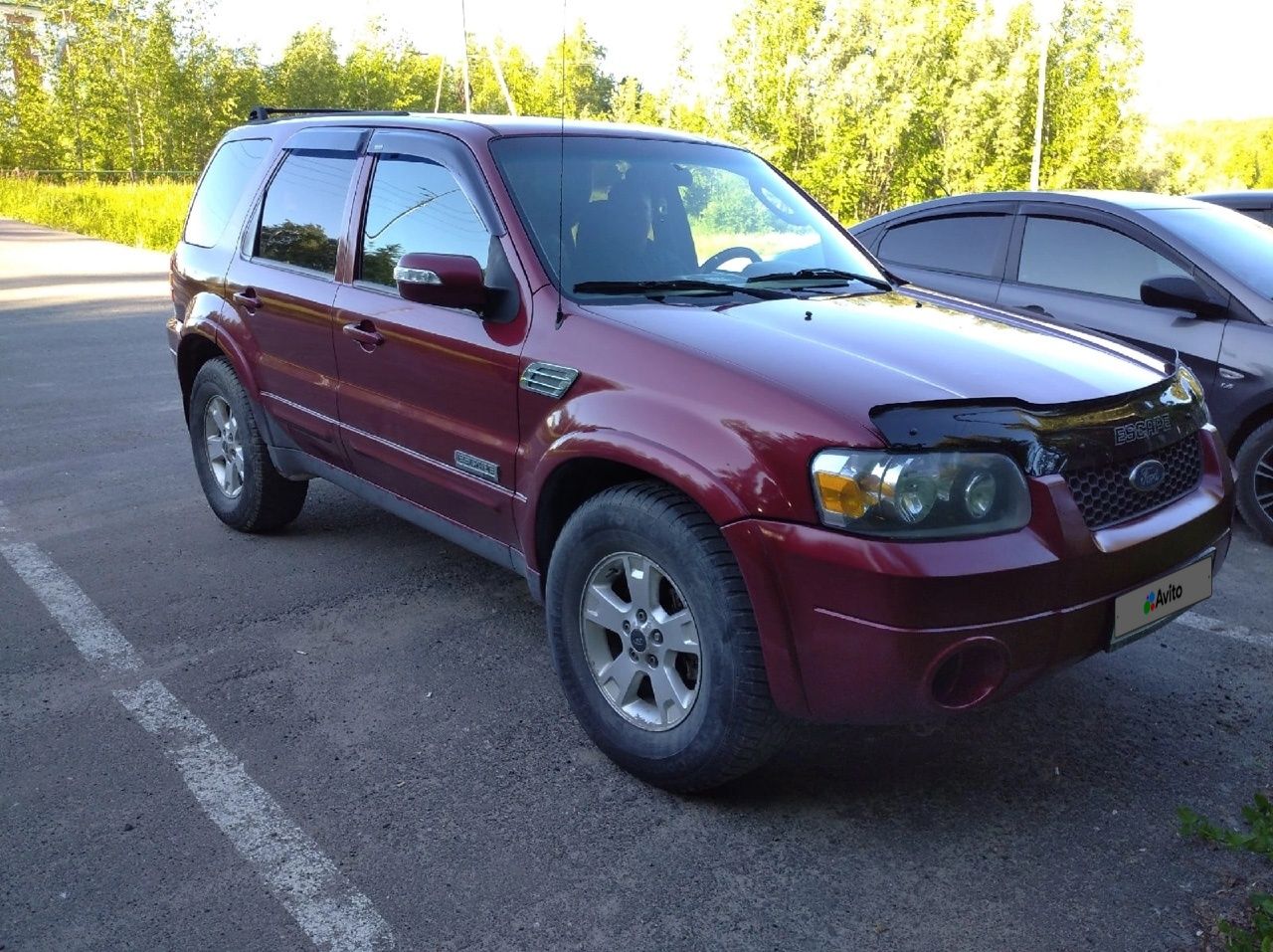 Ford Escape: фото владельца