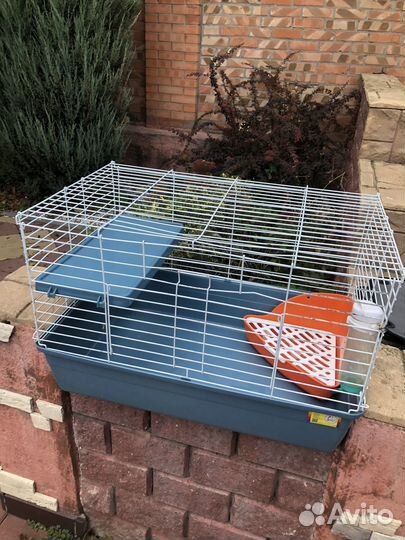Клетка для декоративного кролика