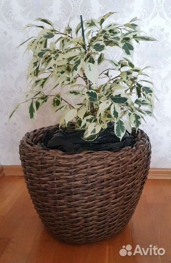 Кашпо из искусственного ротанга