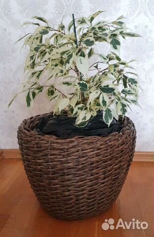 Кашпо из искусственного ротанга