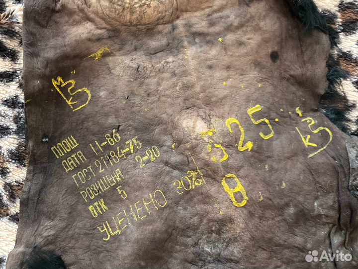 Шкура козлика, цельная