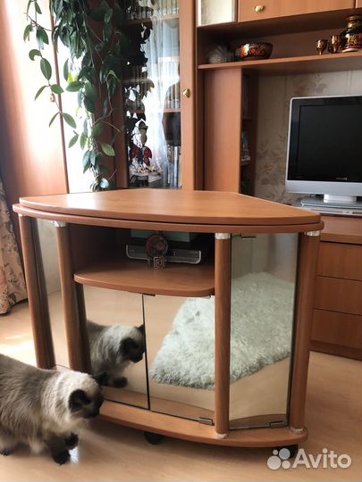 Тумба под телевизор