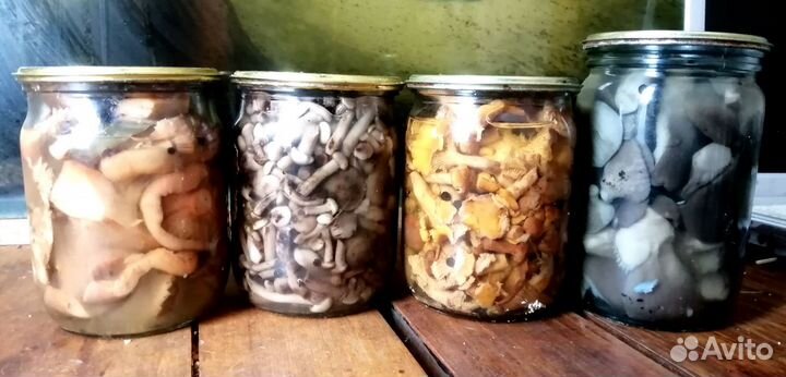 Грибы маринованные
