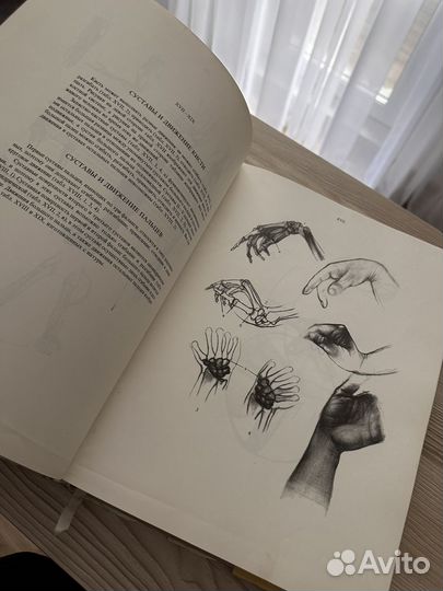 Енё Барчаи анатомия для художников