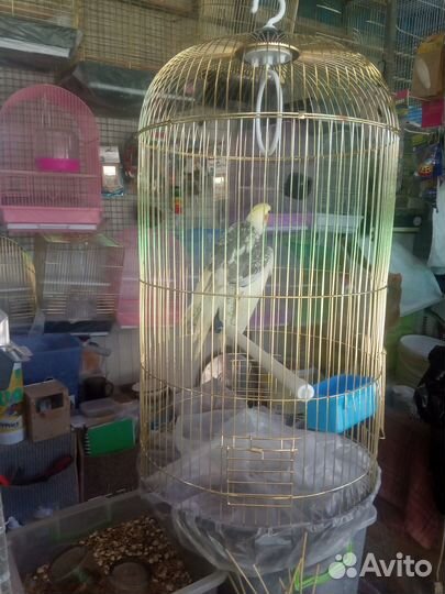 Большие Клетки для Попугаев и птиц.Ц.Рынок