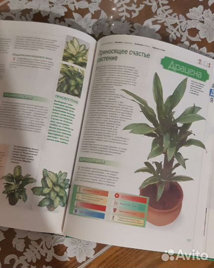 Комнатные растения книга
