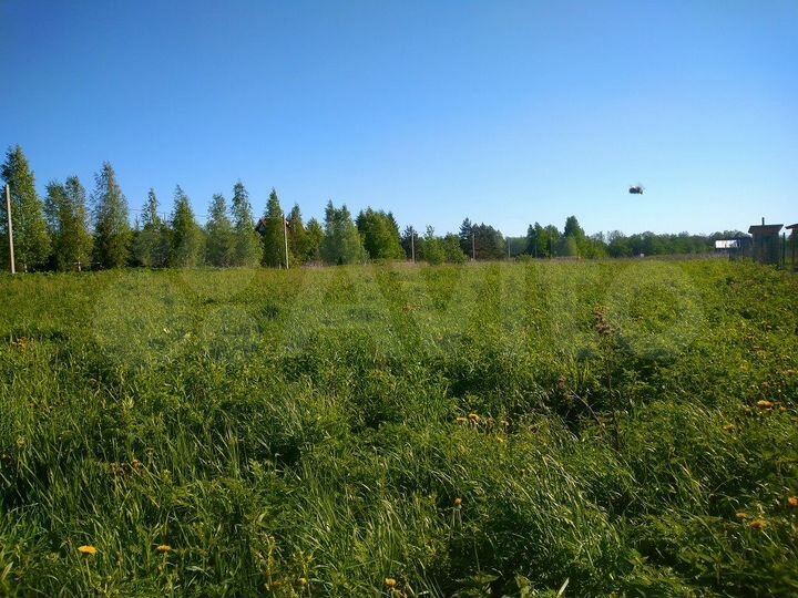 Участок 17,5 сот. (СНТ, ДНП)