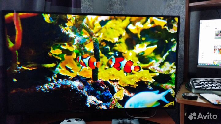 Телевизор LG 43UQ81009LC