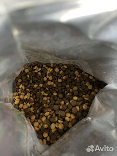 Корм для кошек